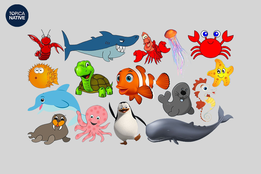 Có rất nhiều con vật ở dưới đại dương bao la