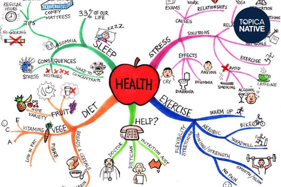 Cách vẽ sơ đồ tư duy mind map từ vựng Health