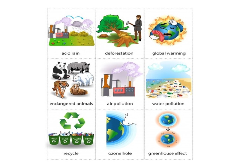 Học từ vựng tiếng Anh về môi trường để bảo vệ môi trường