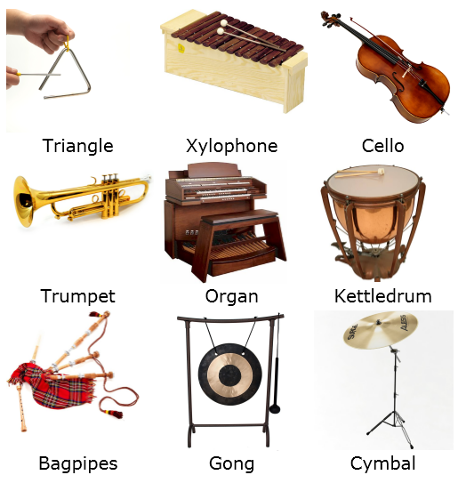 Học từ vựng về các nhạc cụ