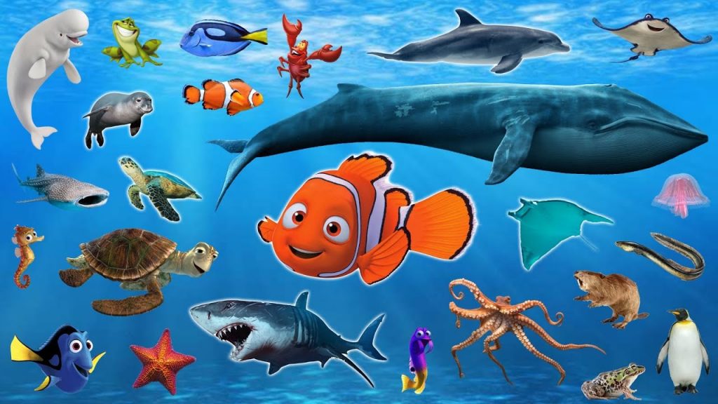 Cá và động vật thủy sinh