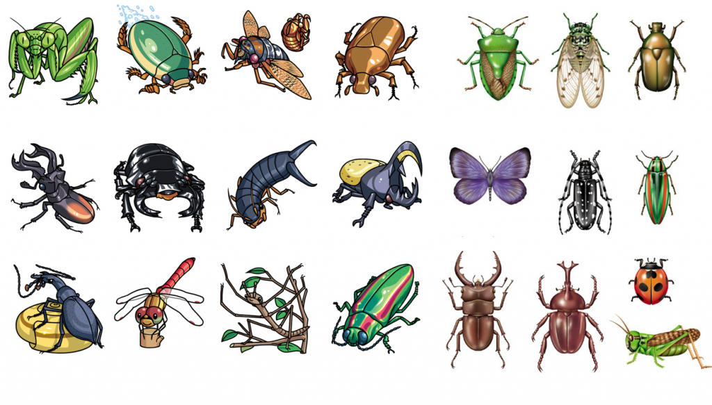 Tên các con vật bằng tiếng Anh - các loài côn trùng