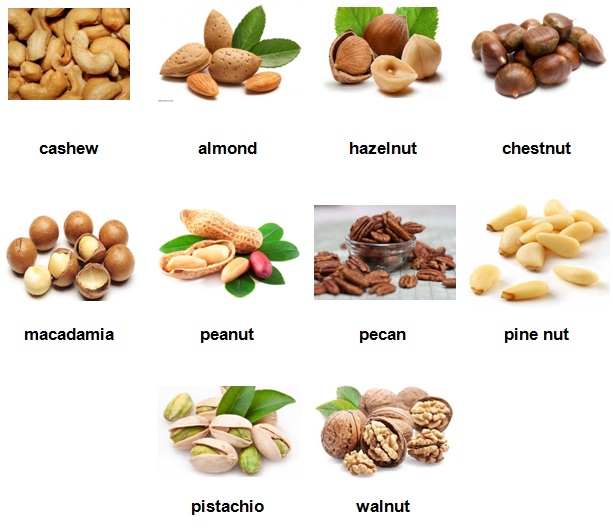 Một số từ vựng tiếng Anh về các loại đậu, hạt thường gặp nhất