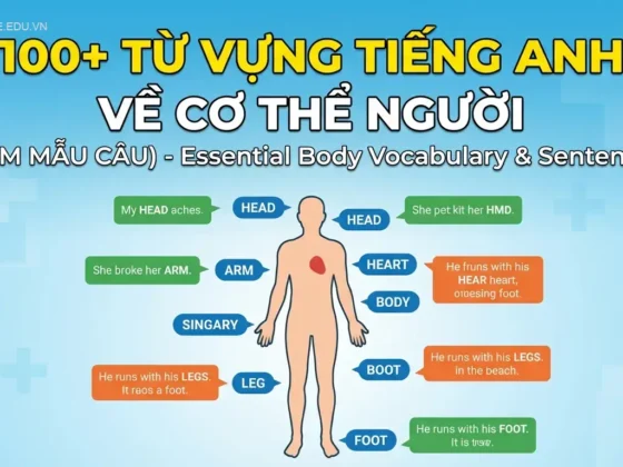 100+ Từ vựng tiếng Anh về cơ thể người (kèm mẫu câu)