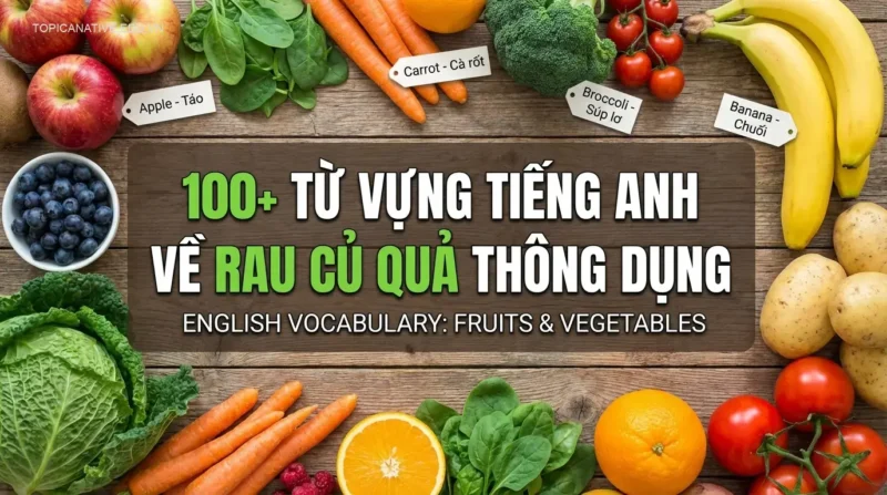 100+ Từ vựng tiếng Anh về rau củ quả thông dụng