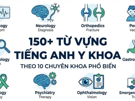 150+ Từ vựng Tiếng Anh Y khoa theo 10 Chuyên khoa phổ biến
