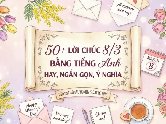 50+ lời chúc 8/3 bằng tiếng Anh hay, ngắn gọn, ý nghĩa