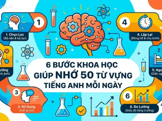 6 Bước Khoa Học Giúp Nhớ 50 Từ Vựng Tiếng Anh Mỗi Ngày