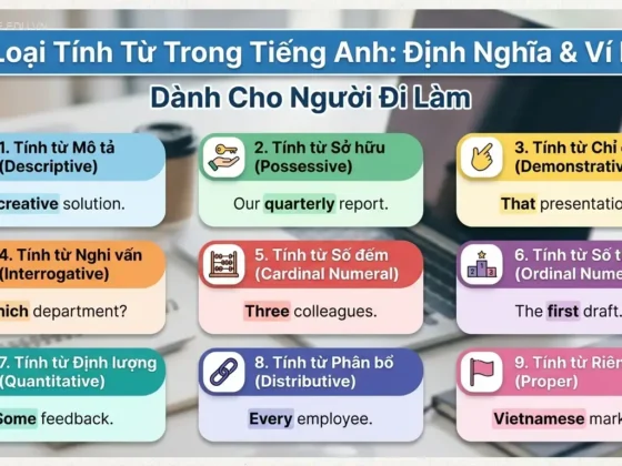 9 Loại Tính Từ Trong Tiếng Anh: Định Nghĩa & Ví Dụ Cho Người Đi Làm