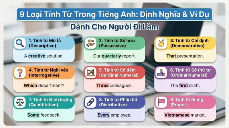 9 Loại Tính Từ Trong Tiếng Anh: Định Nghĩa & Ví Dụ Cho Người Đi Làm
