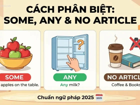 Cách phân biệt Some, Any và No Article chuẩn ngữ pháp 2025