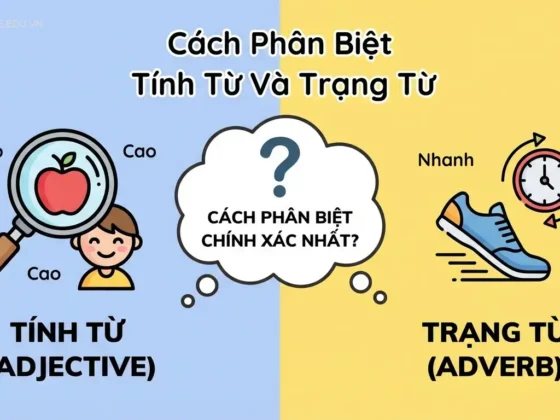 Cách Phân Biệt Tính Từ Và Trạng Từ Chính Xác Nhất