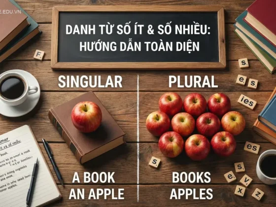 Danh từ số ít và số nhiều trong tiếng Anh: Hướng dẫn toàn diện