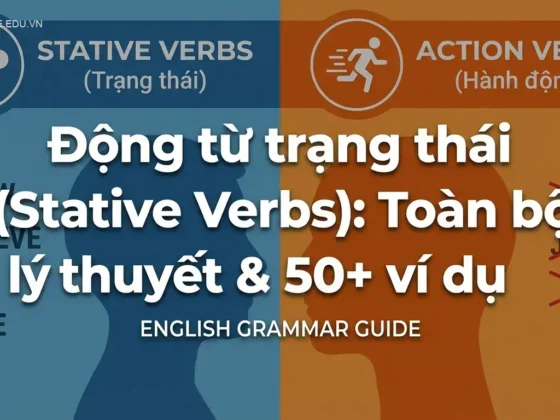 Động từ trạng thái (Stative Verbs): Toàn bộ lý thuyết & 50+ ví dụ