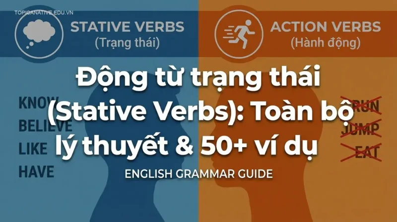 Động từ trạng thái (Stative Verbs): Toàn bộ lý thuyết & 50+ ví dụ