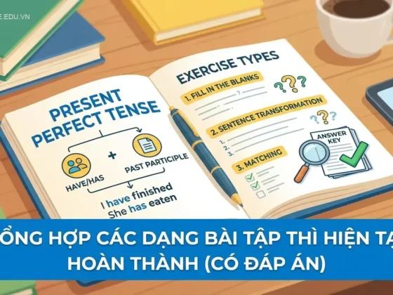 **Tổng Hợp Các Dạng Bài Tập Thì Hiện Tại Hoàn Thành (Có Đáp Án)**