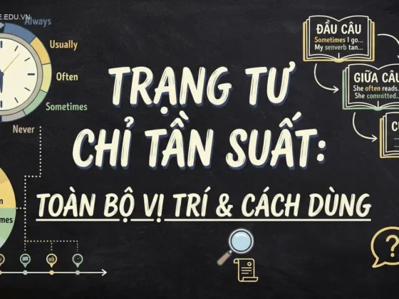 Trạng Từ Chỉ Tần Suất: Toàn Bộ Vị Trí & Cách Dùng